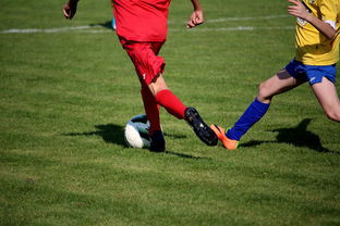 开云平台-切尔西战平巴萨，姆巴佩扑点救主欧冠