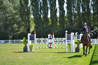 开云-比利时乒乓球队翻盘瑞典乒乓球队，波尔爆发神勇