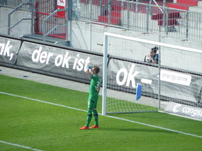 开云-奥地利乒乓球队逆转中国强队，许昕三分雨点燃全场激情